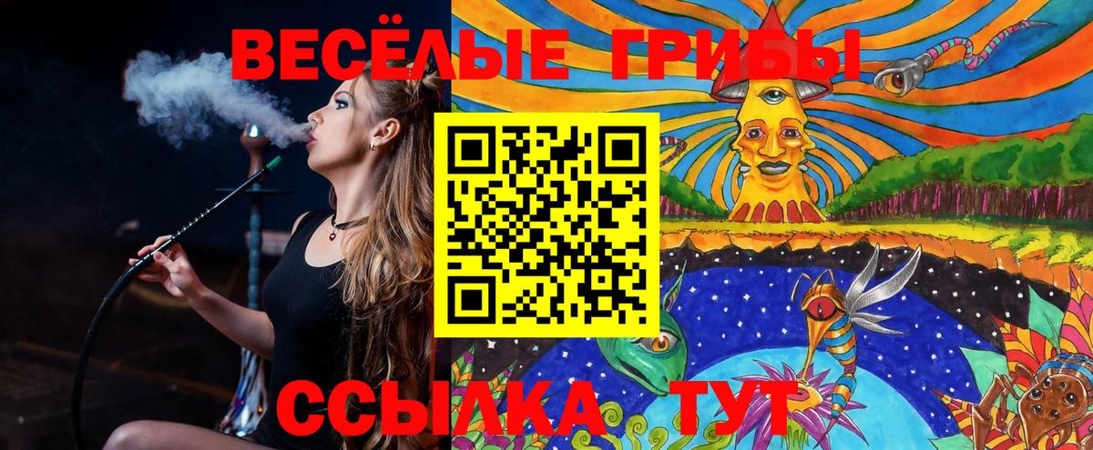 Галлюциногенные грибы Psilocybine cubensis  купить наркоту  Елец  Вход с VPN 